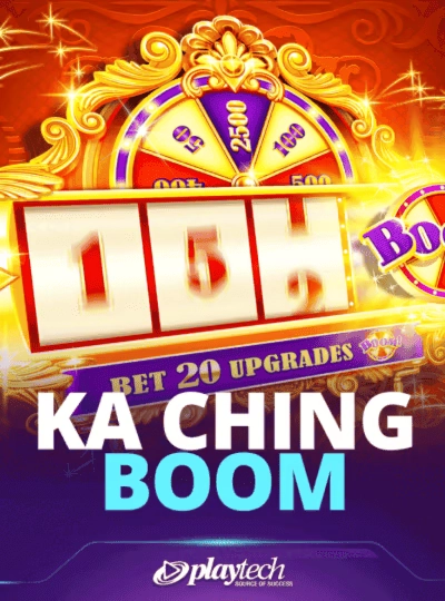 T20 cricket betting cover